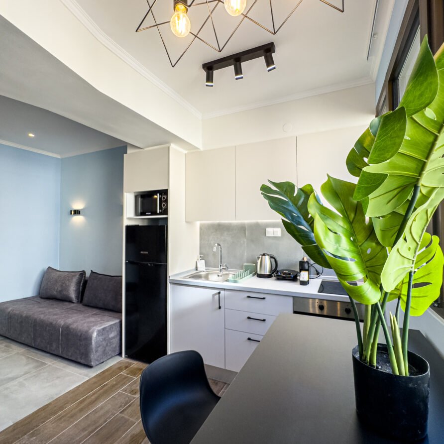 Brantouna Urban Vibes | Standard Apartment
