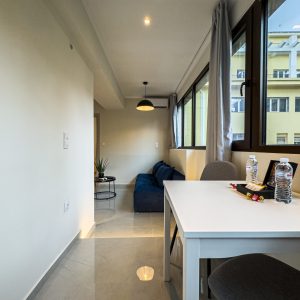 Deluxe One-Bedroom Apartment (8)