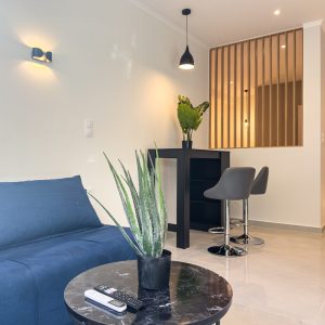 Executive Apartment (24)