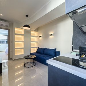Premium One-Bedroom Apartment (6)